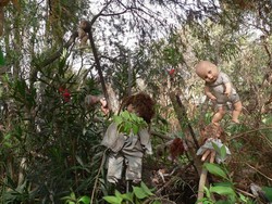 Pulau Terkutuk di Meksiko, Koleksi Seribu Boneka Seram