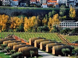 Liburan ke Portugal, Bisa Menginap di dalam Tong Anggur