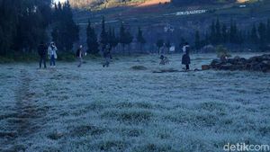Wow! Dataran Tinggi Dieng Membeku