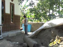 Cerita Warga Pasuruan yang Geli Rumahnya Diserbu Ulat Bulu