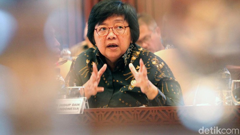 Menteri Siti: Karhutla Parah Dipengaruhi Panjangnya Hari Tanpa Hujan