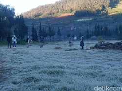 Dieng Berselimut Beku Pagi Ini Saat Suhu Minus 9 Derajat Celsius