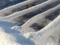 Hasil Panen Melimpah, Petani di Probolinggo Minta Setop Garam Impor