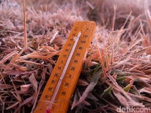 Meski Bikin Tanaman Kentang Mati, Embun Es Dipercaya Menyuburkan Tanah Meski Bikin Tanaman Kentang Mati, Embun Es Dipercaya Menyuburkan Tanah