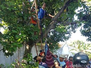 Pemuda Batang Ini Tewas Kesetrum Saat Memasang Bendera Suporter