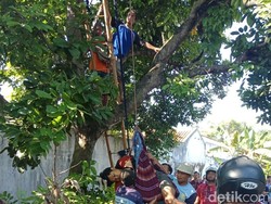 Pemuda Batang Ini Tewas Kesetrum Saat Memasang Bendera Suporter