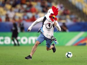 Ketika Ayam Ganggu Laga Chile vs Uruguay dan Brukk...Jatuh Ditekel