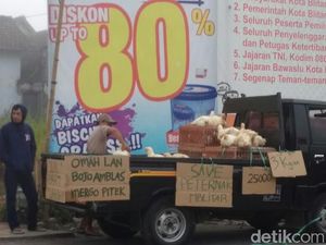 Peternak Ayam di Blitar Obral Hewan Ternak, Ini Alasannya Peternak Ayam di Blitar Obral Hewan Ternak, Ini Alasannya