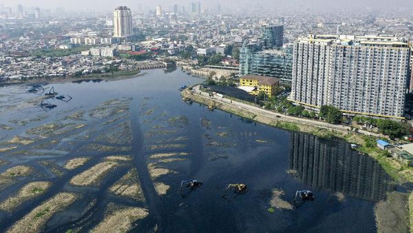 Potret Pendangkalan Waduk Pluit dari Udara