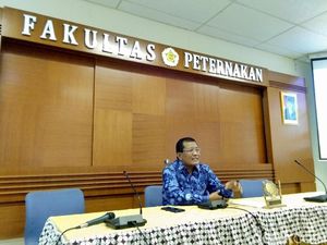 5 Saran UGM Selamatkan Peternak Ayam Broiler 5 Saran UGM Selamatkan Peternak Ayam Broiler