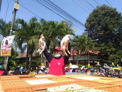 Buwas Sebut Harga Ayam Anjlok Gara-gara Permainan Kartel