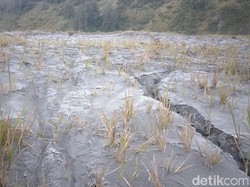 Suguhan Embun Beku di Gunung Bromo Gugah Wisatawan Berdatangan