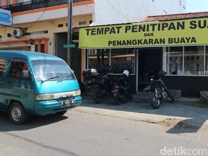 Di Garut Ada Tempat Penitipan Suami Sekaligus Penangkaran Buaya Lho!