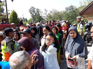 Harga Anjlok, Ribuan Ayam di Solo Dibagikan Gratis