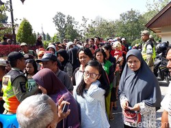 Harga Anjlok, Ribuan Ayam di Solo Dibagikan Gratis