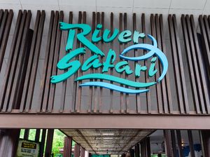 Pengalaman Serunya Mengarungi Sungai di River Safari Singapura