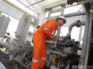 Gandeng 3 Universitas Top Eropa, PLN Perkuat Big Data dan Hukum Energi