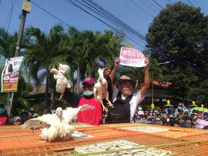 Harga Broiler Terus Melemah, Gubernur Ganjar Tak Ingin Gegabah
