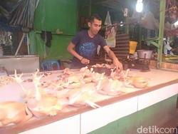 Pedagang Ayam Eceran Untung Banyak Saat Harga di Peternak Anjlok