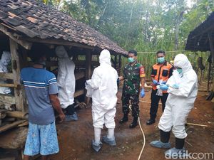 Ada Lagi Sapi Mati Mendadak di Gunungkidul, Sampel Darah Diuji Lab