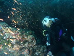 Putri Selam Indonesia Promosi Wisata Aceh