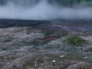 Melihat Lebih Dekat Embun Upas di Kawasan Gunung Semeru