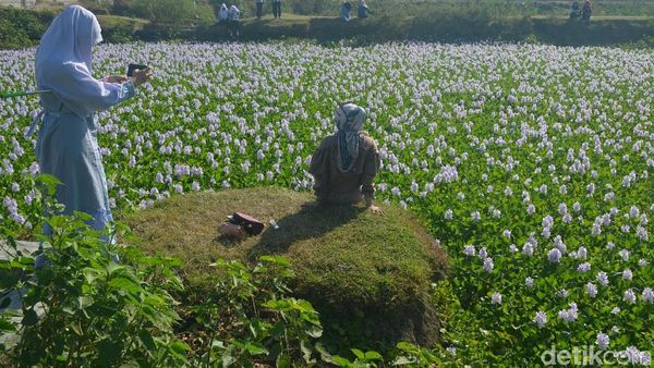 Foto Viral, Bikin Cirebon Jadi Mirip Korea