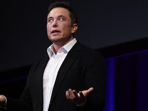 Babi Bionik Elon Musk Dikritik Lebay, Fans Membela Babi Bionik Elon Musk Dikritik Lebay, Fans Membela