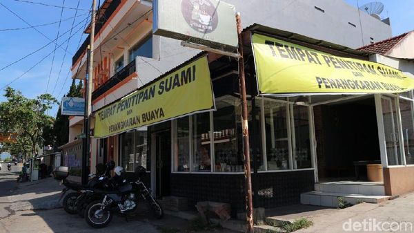 Ini Lho Tempat Penitipan Suami dan Penangkaran Buaya