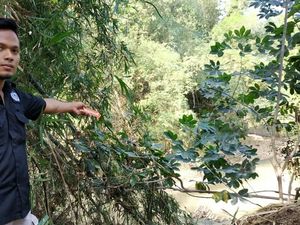 Lepas Pengawasan Ortu, Seorang Balita di Tulungagung Tewas Tenggelam