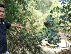 Lepas Pengawasan Ortu, Seorang Balita di Tulungagung Tewas Tenggelam