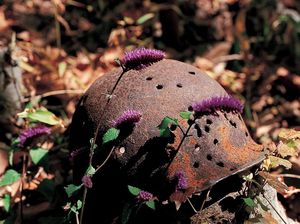 Jepretan Zona Demiliterisasi Fotografer Korea Mejeng di Jakarta