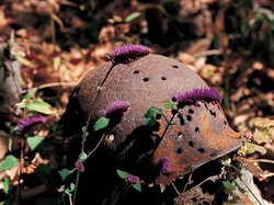 Jepretan Zona Demiliterisasi Fotografer Korea Mejeng di Jakarta