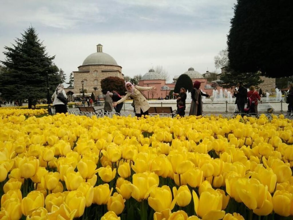 Bukan Belanda, Aslinya Bunga Tulip dari Negara Ini Bukan Belanda, Aslinya Bunga Tulip dari Negara Ini