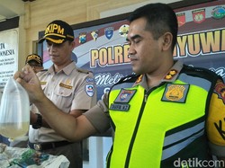 Pengiriman Baby Lobster Senilai Rp 2,6 Miliar ke Banten Digagalkan