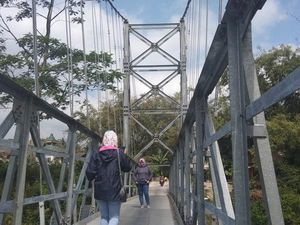 Foto: Jembatan Jokowi Yang Hits di Magelang