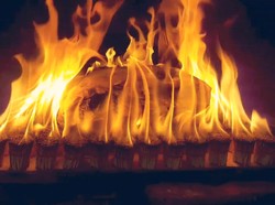 Gokil! Pria Ini Panggang Ayam Pakai Ribuan Batang Korek Api