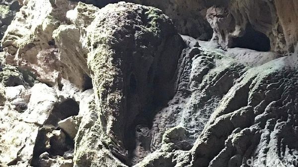 Foto: Heboh Batu Mirip Kepala Gajah di Purworejo