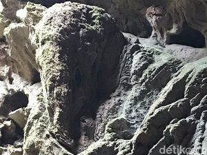Foto: Heboh Batu Mirip Kepala Gajah di Purworejo