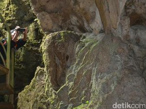 Batu Mirip Kepala Gajah yang Menghebohkan Purworejo