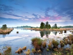 Mengenal Assen, Tuan Rumah MotoGP Belanda 2019