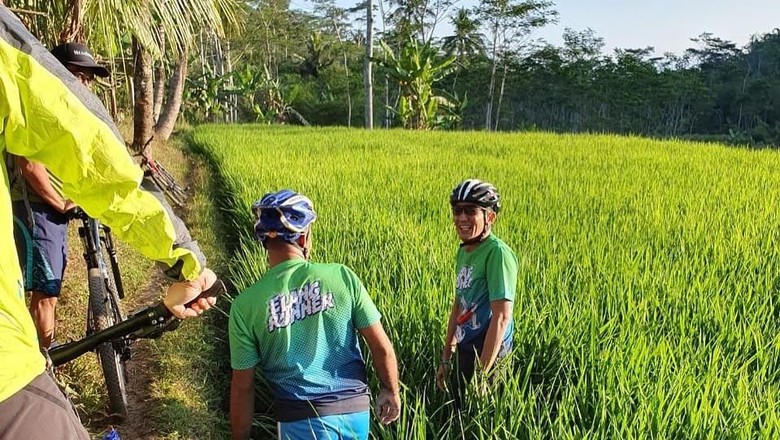 Duh! Saking Semangatnya Bersepeda, Sandiaga Nyemplung ke Sawah