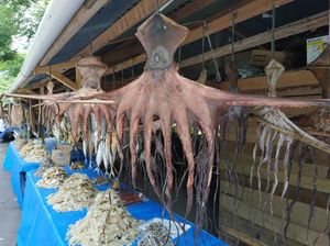 Ke Aceh Besar, Bawa Oleh-oleh Ikan Asin Ya