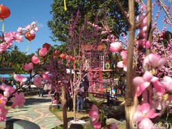 Libur Sekolah di Blitar, Ada Istana Sakura