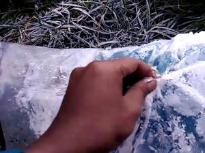 Fenomena Salju di Gunung Gede Pangrango, Pendaki: Embun Membeku