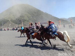 Ratusan Kuda Ojek Ikut Pacuan di Lautan Pasir Bromo