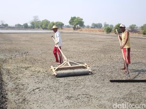 Musim Kemarau Bergulir, Petani Garam Mulai Berproduksi