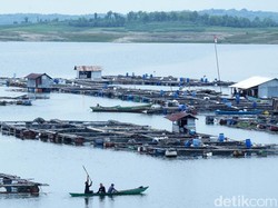 Dua Ton Ikan di Waduk Kedungombo Boyolali Mati Mendadak
