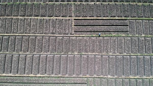 Potret Kekeringan Melanda Sejumlah Wilayah di Indonesia