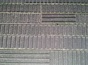 Potret Kekeringan Melanda Sejumlah Wilayah di Indonesia